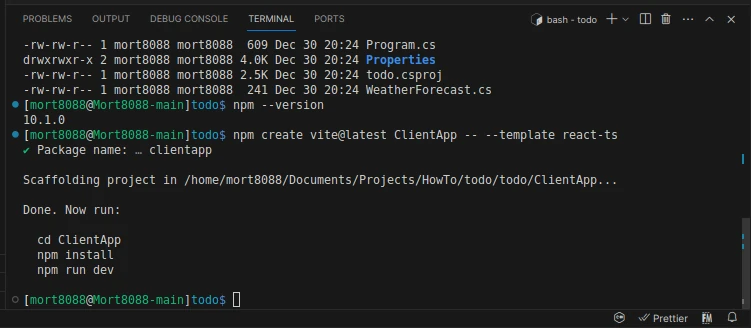 Terminal showing new React project created
