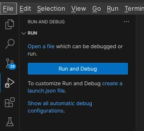 the run and debug panel
